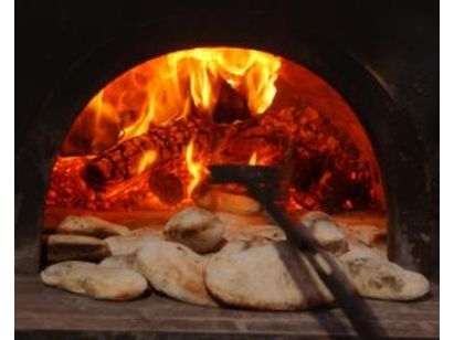 FOUR à BOIS 100 TRACTABLE